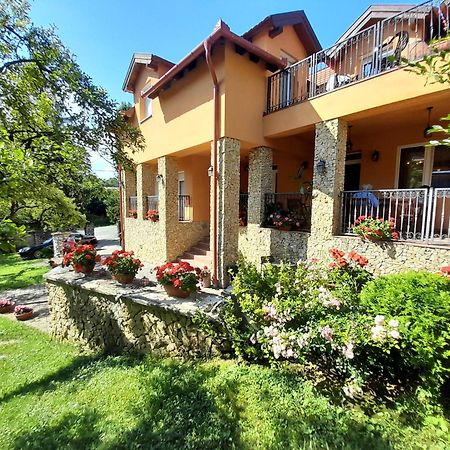 Harmonia Wellness Villa Szilvasvarad Exterior photo